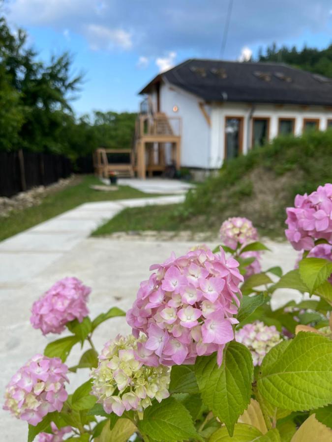 Casa Thymus Villa Soveja Ngoại thất bức ảnh
